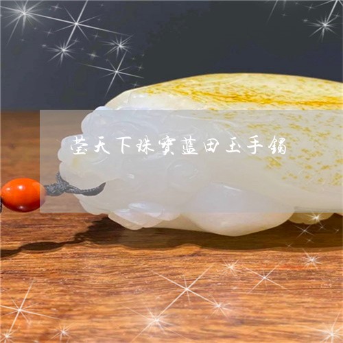 莹天下珠宝蓝田玉手镯/2023060507918