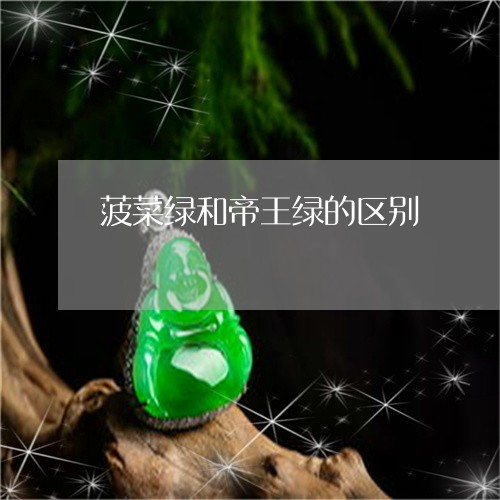 菠菜绿和帝王绿的区别/2023060558572 菠菜绿和帝王绿的区别/2023060558572