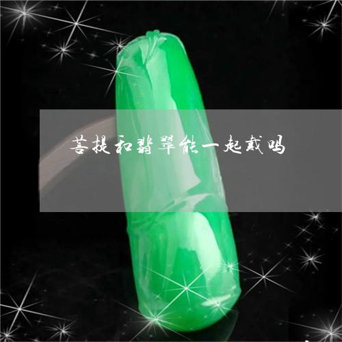 菩提和翡翠能一起戴吗/2023060639389