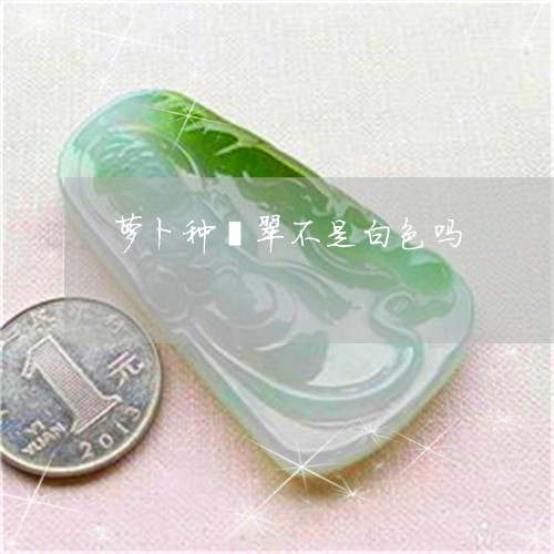 萝卜种翡翠不是白色吗/2023060593816