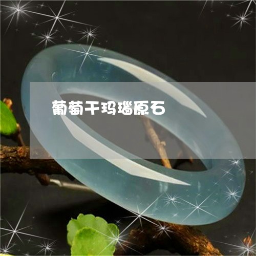 葡萄干玛瑙原石/2023032372604