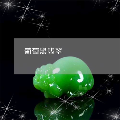 葡萄黑翡翠/2023071317027