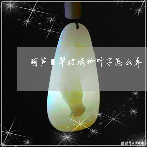 葫芦翡翠玻璃种叶子怎么养/2023062872483