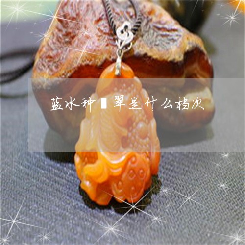 蓝水种翡翠是什么档次/2023060674169