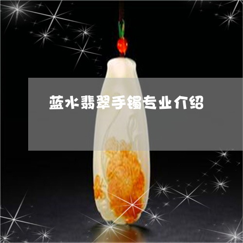 蓝水翡翠手镯专业介绍/2023060609348 蓝水翡翠手镯专业介绍/2023060609348