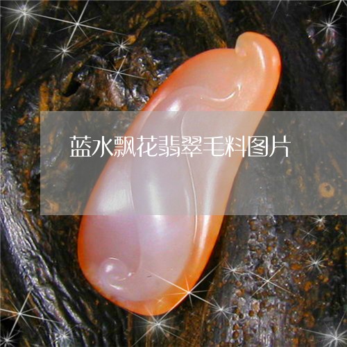 蓝水飘花翡翠毛料图片/2023060574717