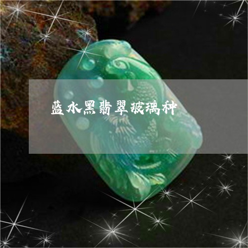 蓝水黑翡翠玻璃种/2023062018493