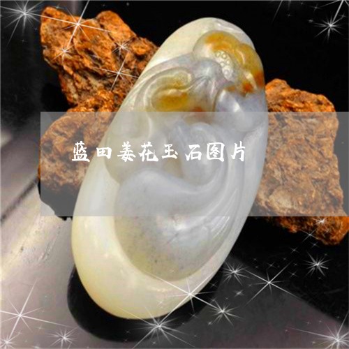 蓝田姜花玉石图片/2023062000692 蓝田姜花玉石图片/2023062000692