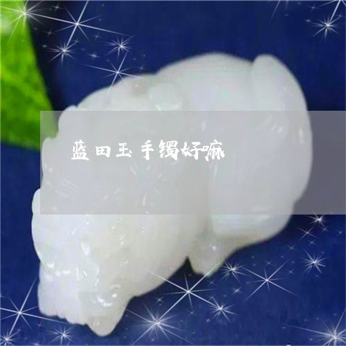 蓝田玉手镯好嘛/2023032342947 蓝田玉手镯好嘛/2023032342947