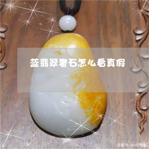 蓝翡翠奢石怎么看真假/2023060646269 蓝翡翠奢石怎么看真假/2023060646269