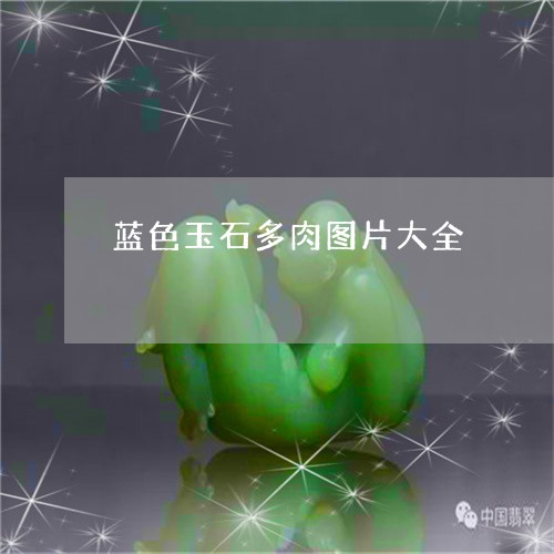 蓝色玉石多肉图片大全/2023060591724