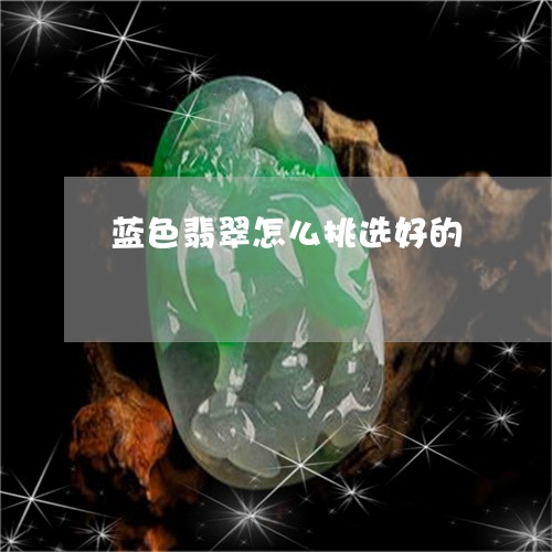蓝色翡翠怎么挑选好的/2023060507472