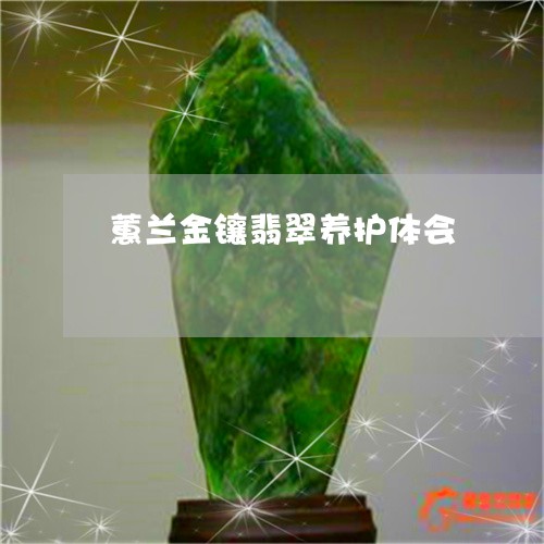 蕙兰金镶翡翠养护体会/2023060517340 蕙兰金镶翡翠养护体会/2023060517340