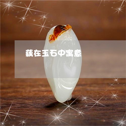 藕在玉石中寓意/2023032294926 藕在玉石中寓意/2023032294926