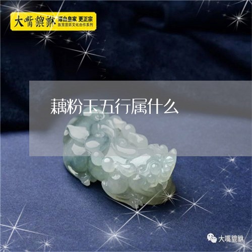 藕粉玉五行属什么/2023022895836