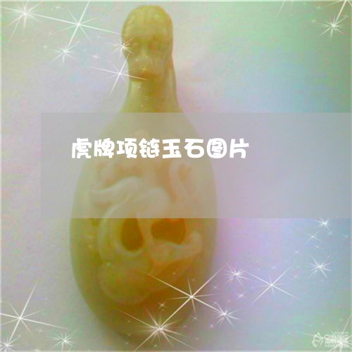 虎牌项链玉石图片/2023062074937