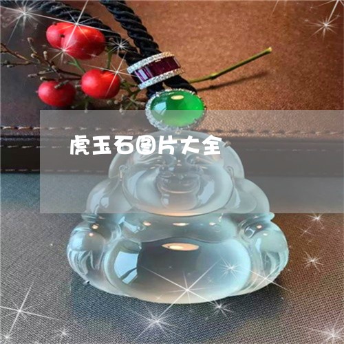 虎玉石图片大全/2023032281493