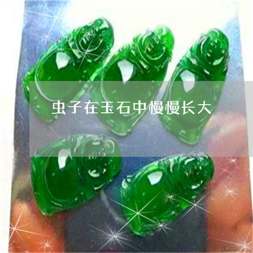 虫子在玉石中慢慢长大/2023060576250