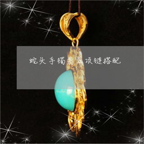 蛇头手镯翡翠项链搭配/2023060555170