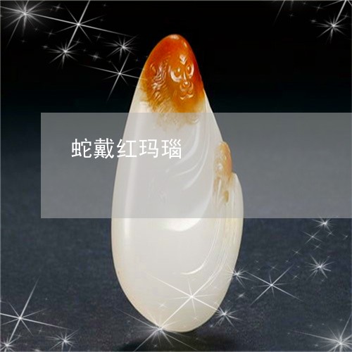蛇戴红玛瑙/2023071270685 蛇戴红玛瑙/2023071270685