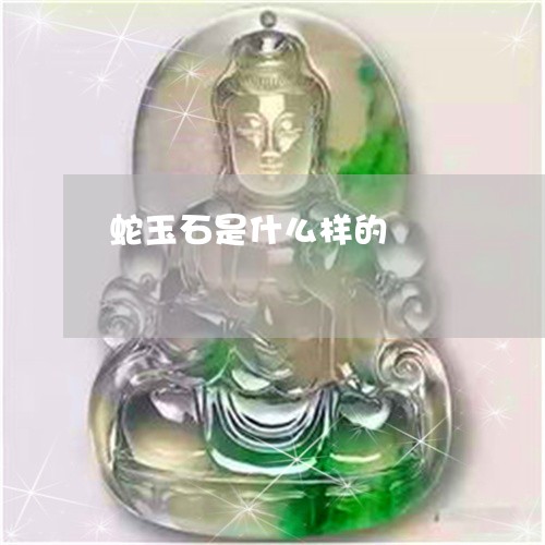 蛇玉石是什么样的/2023030174261