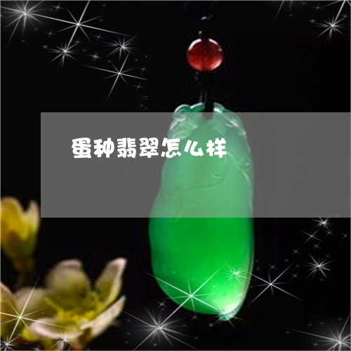 蛋种翡翠怎么样/2023032239373 蛋种翡翠怎么样/2023032239373