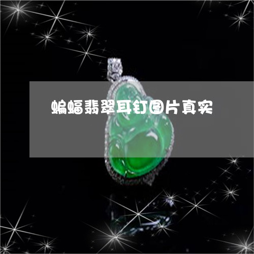 蝙蝠翡翠耳钉图片真实/2023060529382