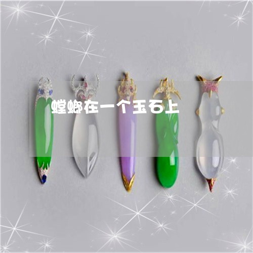 螳螂在一个玉石上/2023062084370