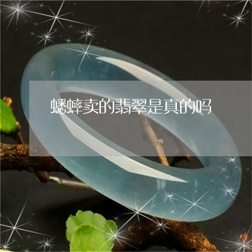 蟋蟀卖的翡翠是真的吗/2023060517938 蟋蟀卖的翡翠是真的吗/2023060517938
