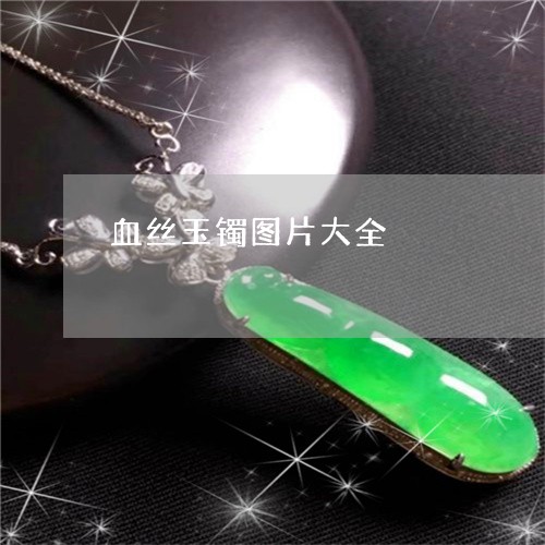 血丝玉镯图片大全/2023030198370