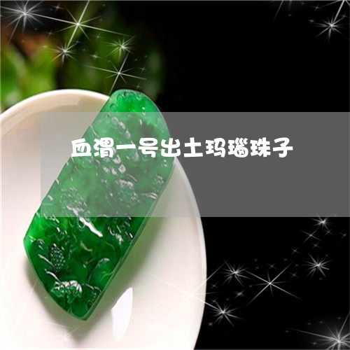 血渭一号出土玛瑙珠子/2023060583046 血渭一号出土玛瑙珠子/2023060583046