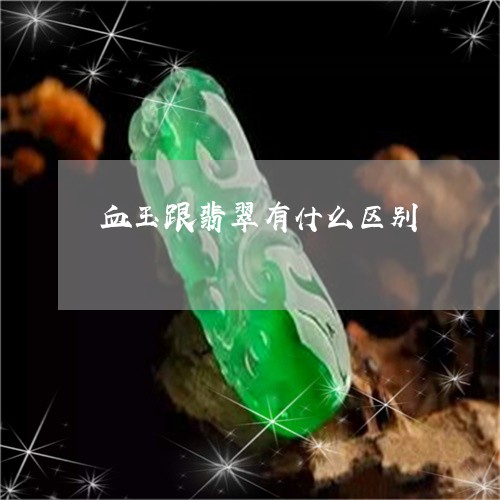 血玉跟翡翠有什么区别/2023060514828