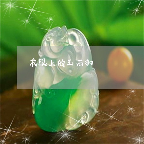衣服上的玉石扣/2023032252823 衣服上的玉石扣/2023032252823