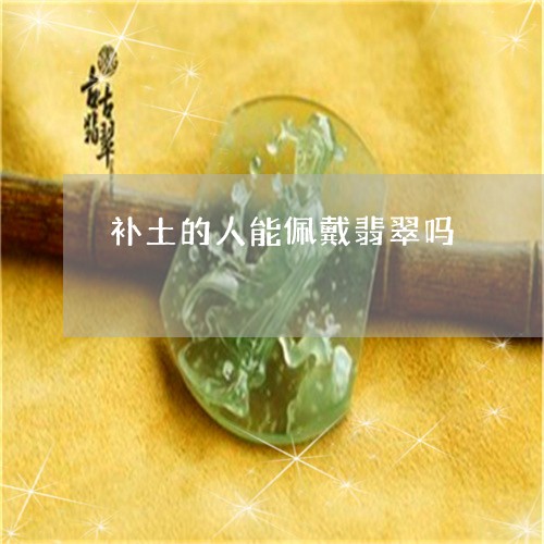 补土的人能佩戴翡翠吗/2023060549526