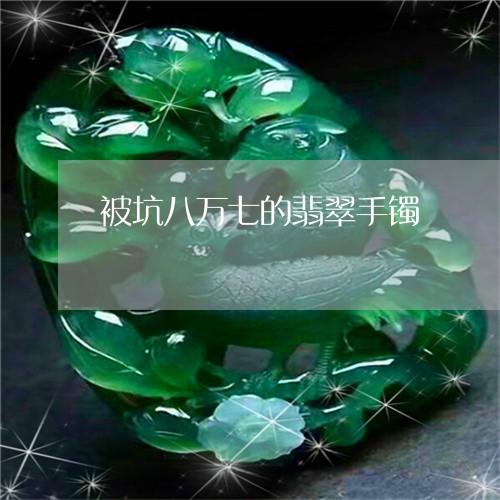 被坑八万七的翡翠手镯/2023060527240