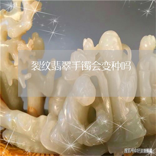 裂纹翡翠手镯会变种吗/2023060575935