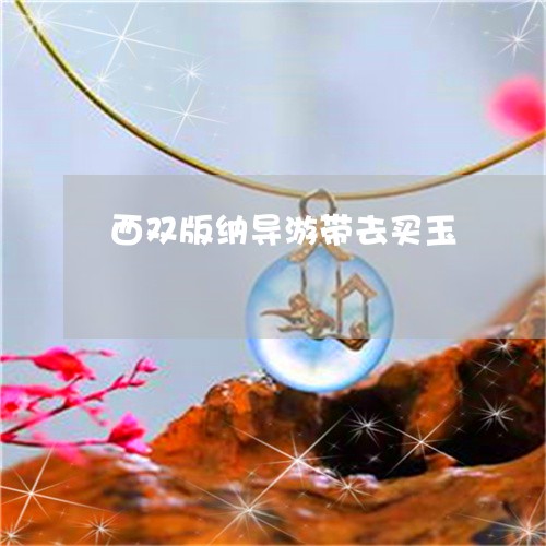 西双版纳导游带去买玉/2023060572615