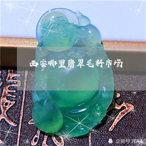 西安哪里翡翠毛料市场/2023060529614