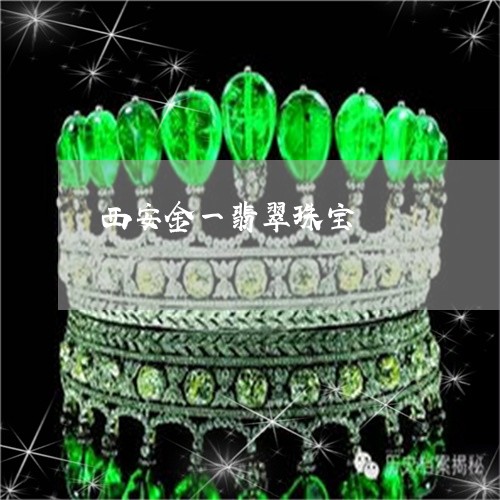 西安金一翡翠珠宝/2023030103249 西安金一翡翠珠宝/2023030103249