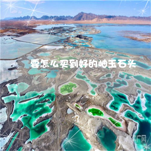 要怎么买到好的岫玉石头/2023061896959 要怎么买到好的岫玉石头/2023061896959