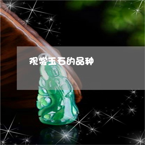 观赏玉石的品种/2023032226151 观赏玉石的品种/2023032226151