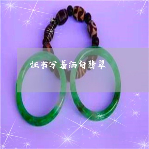 证书写着缅甸翡翠/2023030110612