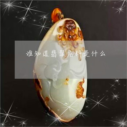 谁知道翡翠危料是什么/2023060436150