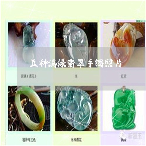 豆种满绿翡翠手镯照片/2023060448361