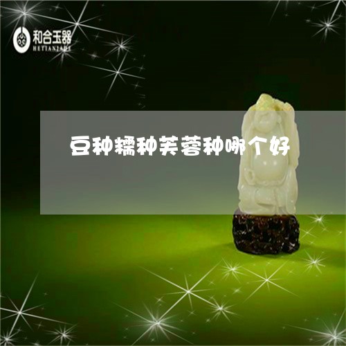 豆种糯种芙蓉种哪个好/2023060494705