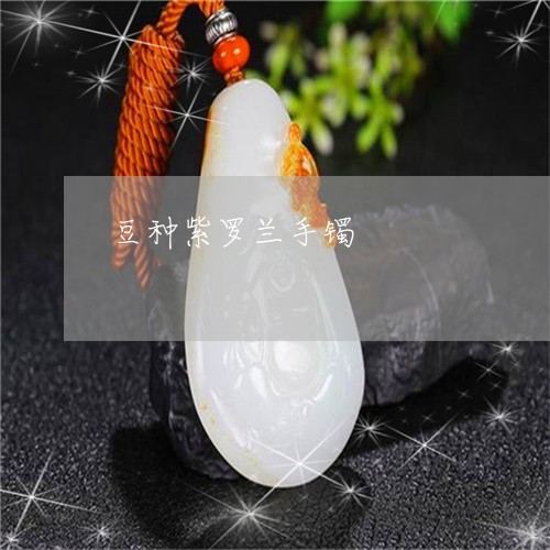 豆种紫罗兰手镯/2023032252716 豆种紫罗兰手镯/2023032252716
