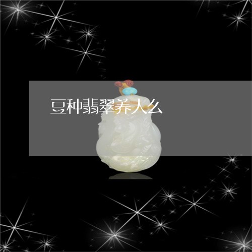 豆种翡翠养人么/2023032283927 豆种翡翠养人么/2023032283927