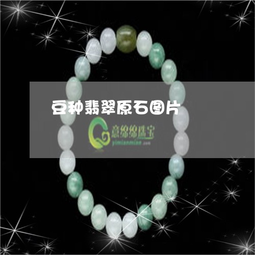 豆种翡翠原石图片/2023062028271