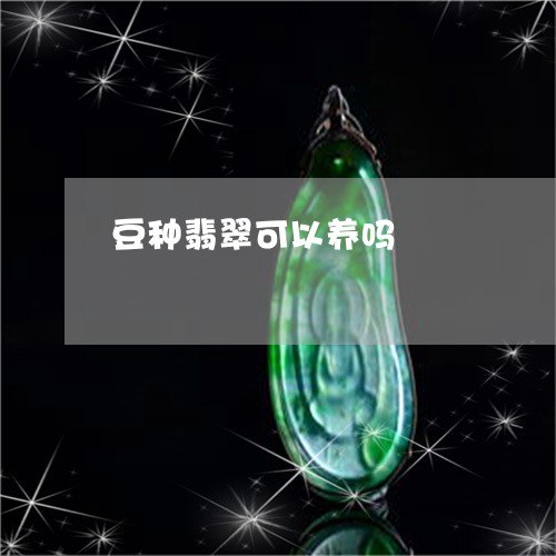 豆种翡翠可以养吗/2023062095059 豆种翡翠可以养吗/2023062095059
