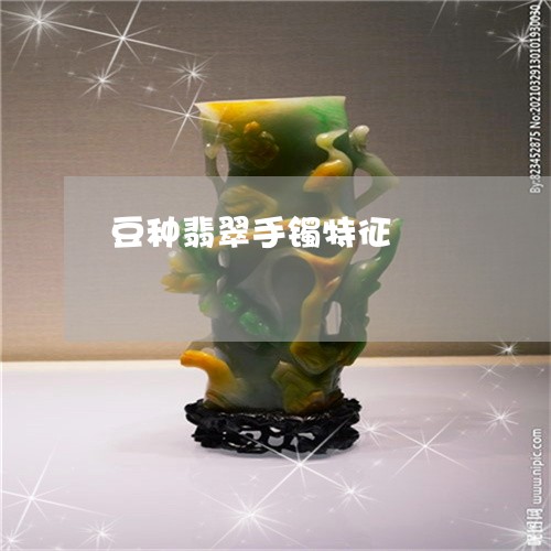 豆种翡翠手镯特征/2023062043917 豆种翡翠手镯特征/2023062043917